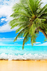 Obraz na płótnie Canvas Tropical island paradise beach nature, blue sea wave, ocean water, green coconut palm tree leaves, yellow sand, sunny sky white clouds, beautiful caribbean landscape, summer holidays, vacation, travel