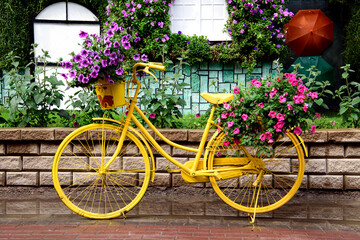 Fototapeta na wymiar Yellow bicycle with flowers in the Miracle Garden Dubai