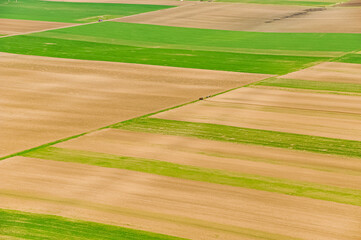 Agriculture fields in spring, aerial view in a sunny day. Agriculture and farming industry.