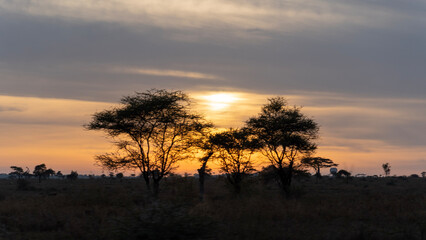 Fototapeta na wymiar sunset in the mountains Serengeti