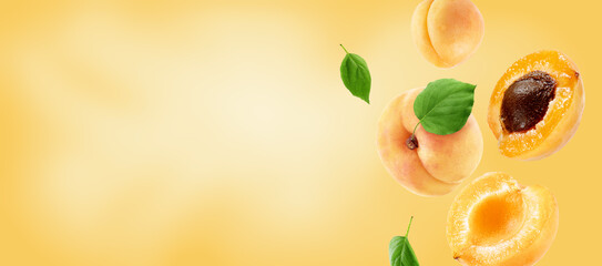 apricots group, slices and leaves flying on apricot colour background. Background for packaging and label design