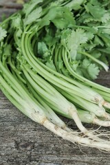 Fresh green coriander on brown wood background