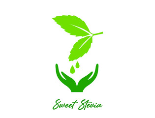 100% organic sweet stevia leaf