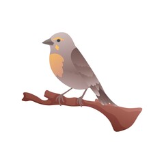 Dickcissel Perched on branch with isolated background