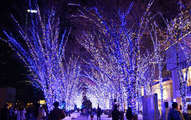 Blue Christmas lights on city streets at night