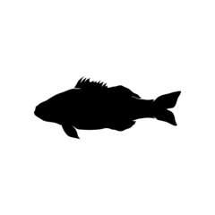 Fish icon design template vector isolated