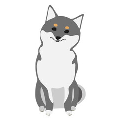 Obraz premium 首をかしげておすわりする黒柴