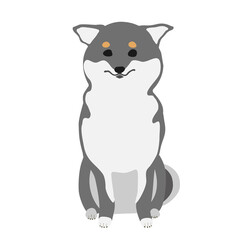 困り顔でおすわりする黒柴