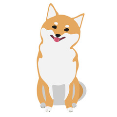 笑顔で首をかしげておすわりする柴犬