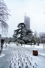 Winter in Batumi, Adjara, Georgia