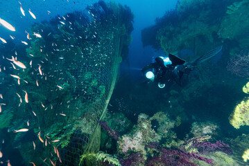 Fototapeta na wymiar Relitto di una nave affondata nella seconda guerra mondiale vicino a Cagliari, con subacqueo