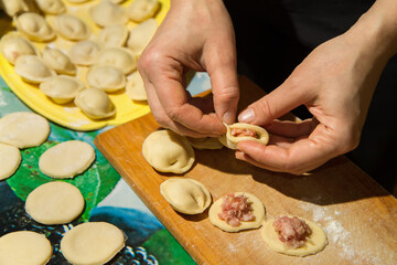 Cooking homemade dumplings close-up.