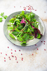salad leaves mix arugula, spinach, lettuce, frise, radicchio, mung bean salad fresh dietary healthy meal diet still life snack on the table copy space food background vegan or vegetarian food