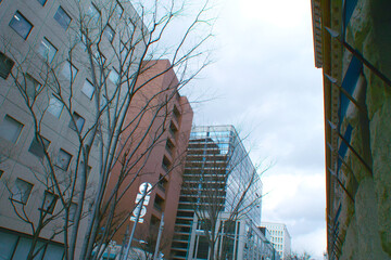 Fototapeta premium 神戸