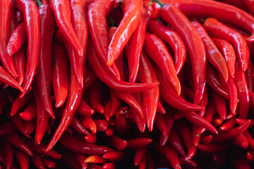 Close-up red vegetable for background, green pepper texture. Red chili peppers form a natural shape. Fresh raw vegetables