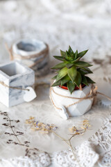 Fototapeta na wymiar Marble pots made of plaster and concrete for succulents, handmade