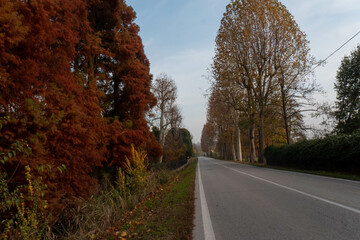 Fototapeta premium Villa Fogazzaro-Colbachini aresidence of the writer Antonio Fogazzaro