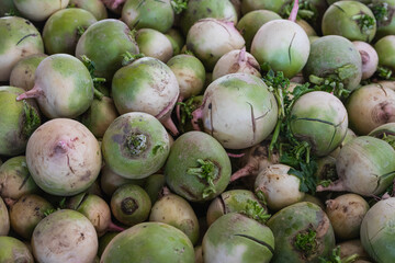 Сlose up radish  background. Fresh  vegetables variety grown in the shop.  radish   for salad, entree and soup