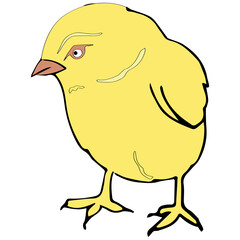 Vector illustration - easter eggs with lilies of the valley and green leaves. Isolated.