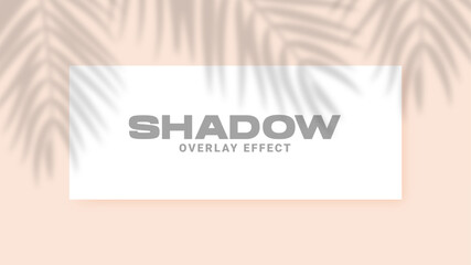 Shadow overlay effect. Transparent soft light and shadows from palm leaves. Realistic shadow mock up scenes.