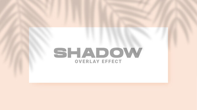 Shadow overlay effect. Transparent soft light and shadows from palm leaves. Realistic shadow mock up scenes.
