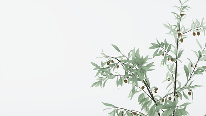 3D render of beautiful green leaves plant with fruits sun light shine on white empty wall. Mockup, backdrop, Green, houseplant decoration, Asian, Tropical, Beauty products background, Pattern, Banner.