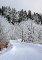 a road covered with snow through the forest