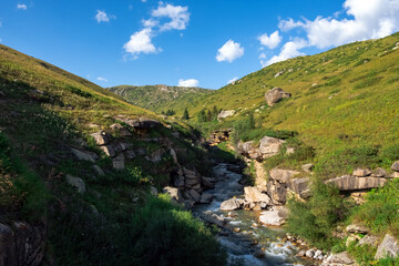 Obraz premium Beautiful river flowing in rocky canyon in green mountains. Dzungarian Alatau nature.