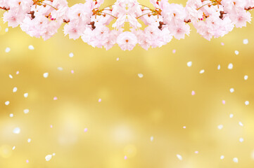 春のイメージ、桜の花と風に飛ぶ花びらの背景イラスト