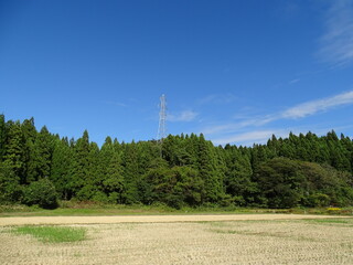 秋の農村風景