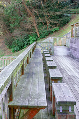 wooden bridge in the forest
