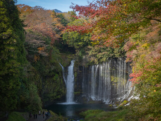 【滝と紅葉】富士山麓にある白糸の滝
