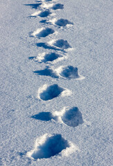 footprints of a man on the snow