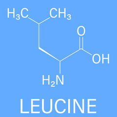 Leucine or l-leucine, Leu, L amino acid molecule. Skeletal formula.