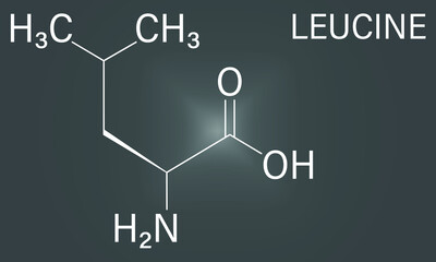 Leucine or l-leucine, Leu, L amino acid molecule. Skeletal formula.