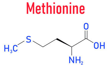 Methionine or l-methionine, Met, M amino acid molecule. Skeletal formula.