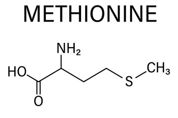 Methionine or l-methionine, Met, M amino acid molecule. Skeletal formula.