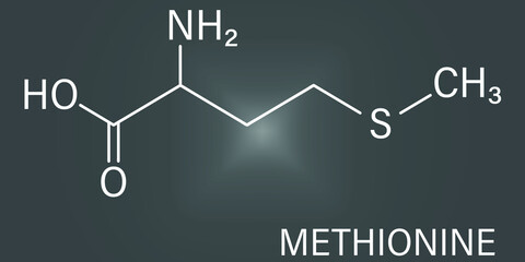 Methionine or l-methionine, Met, M amino acid molecule. Skeletal formula.