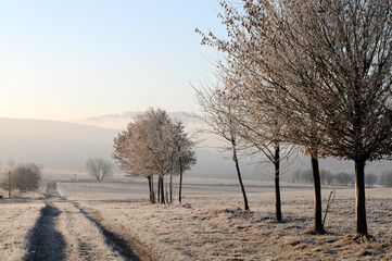 Winterlandschaft im Hunsrück