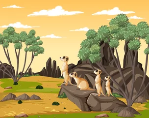 Desert background with a group of meerkats © blueringmedia