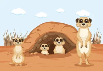 Desert background with a group of meerkats © blueringmedia