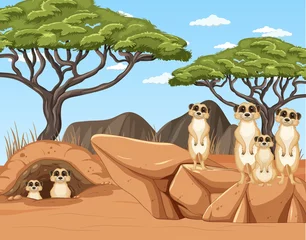 Meerkat family lives in the desert forest © blueringmedia
