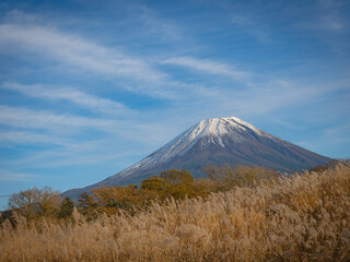 【富士山】秋晴れとススキ
