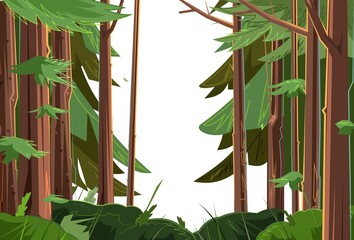 Landscape with trees. Coniferous plants.. Thick shrubs among the trunks. Illustration in cartoon style flat design Isolated on white background. Vector