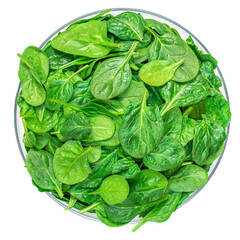 Bowl of Spinach leaves isolated on white background. Fresh Spinach Closeup. Top view. Flat lay..