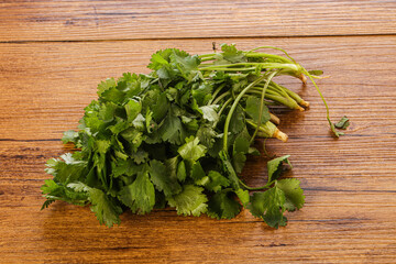 Fresh green Coriander leaves heap