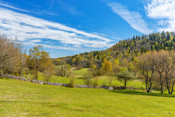 Fototapeta na wymiar Beautiful landscape view in the spring of newly opened leaves