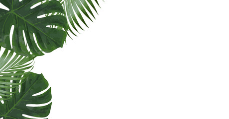 Realistic monstera and palm leaves on white background. Modern background for your design. Illustration for birthday, party card, invitation, fashion, presentation. Copy space for your text © Sabina