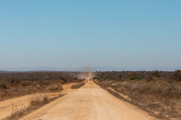 Landscape of African savannah, Amboseli National Park, Kenya