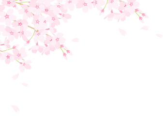 桜と花びらが舞い落ちるベクターイラスト